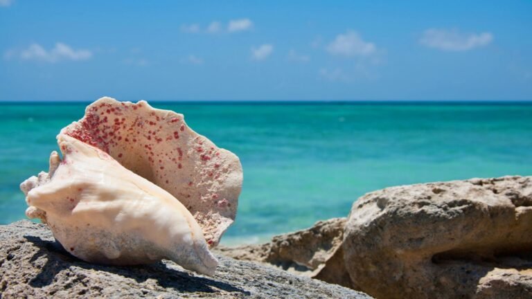Turks - Caicos Getaway