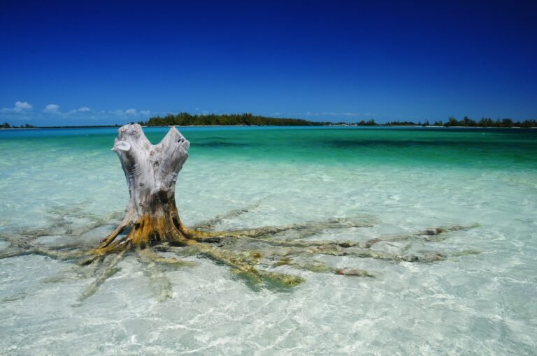 Bahamas